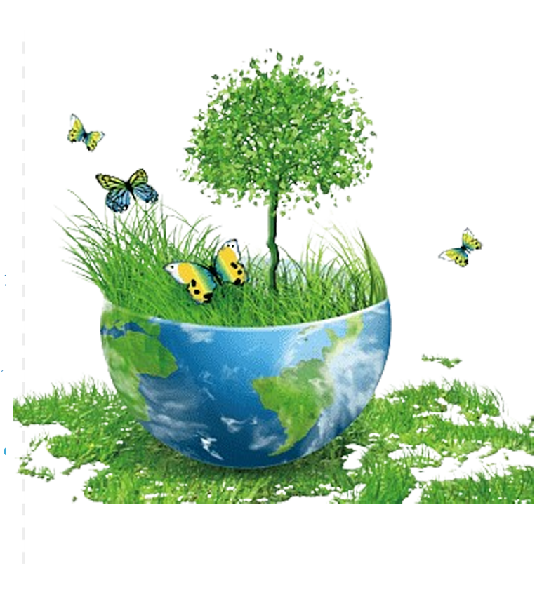 Environment